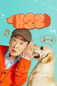 Dog Knows Everything: Season 1